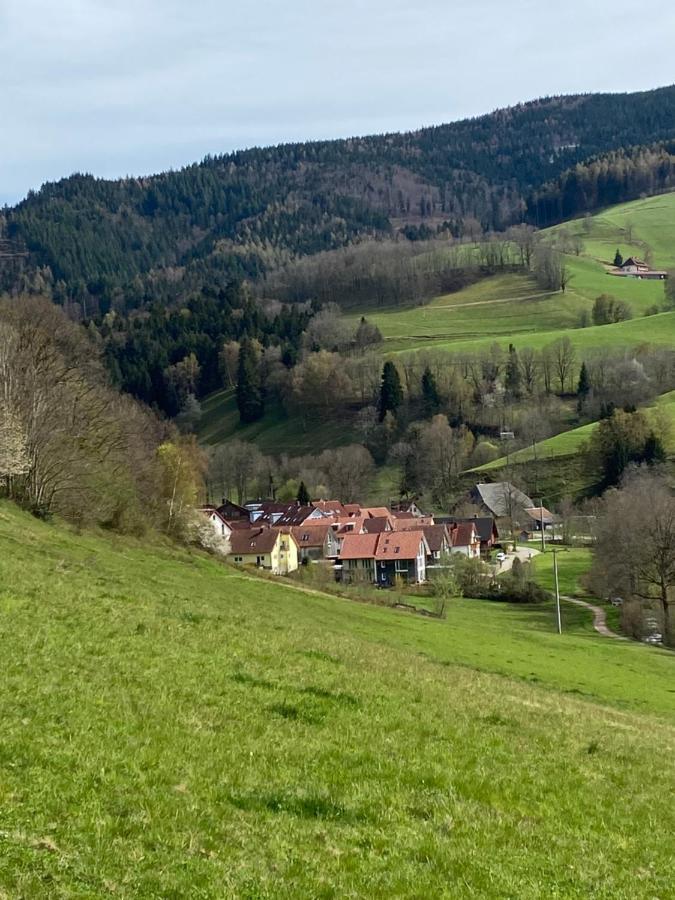 Schwarzwaldglueck Apartment Oberried  Eksteriør bilde