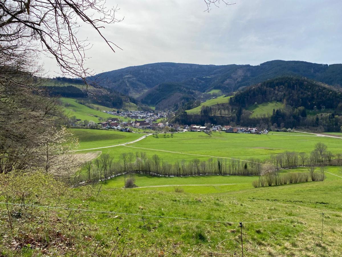Schwarzwaldglueck Apartment Oberried  Eksteriør bilde